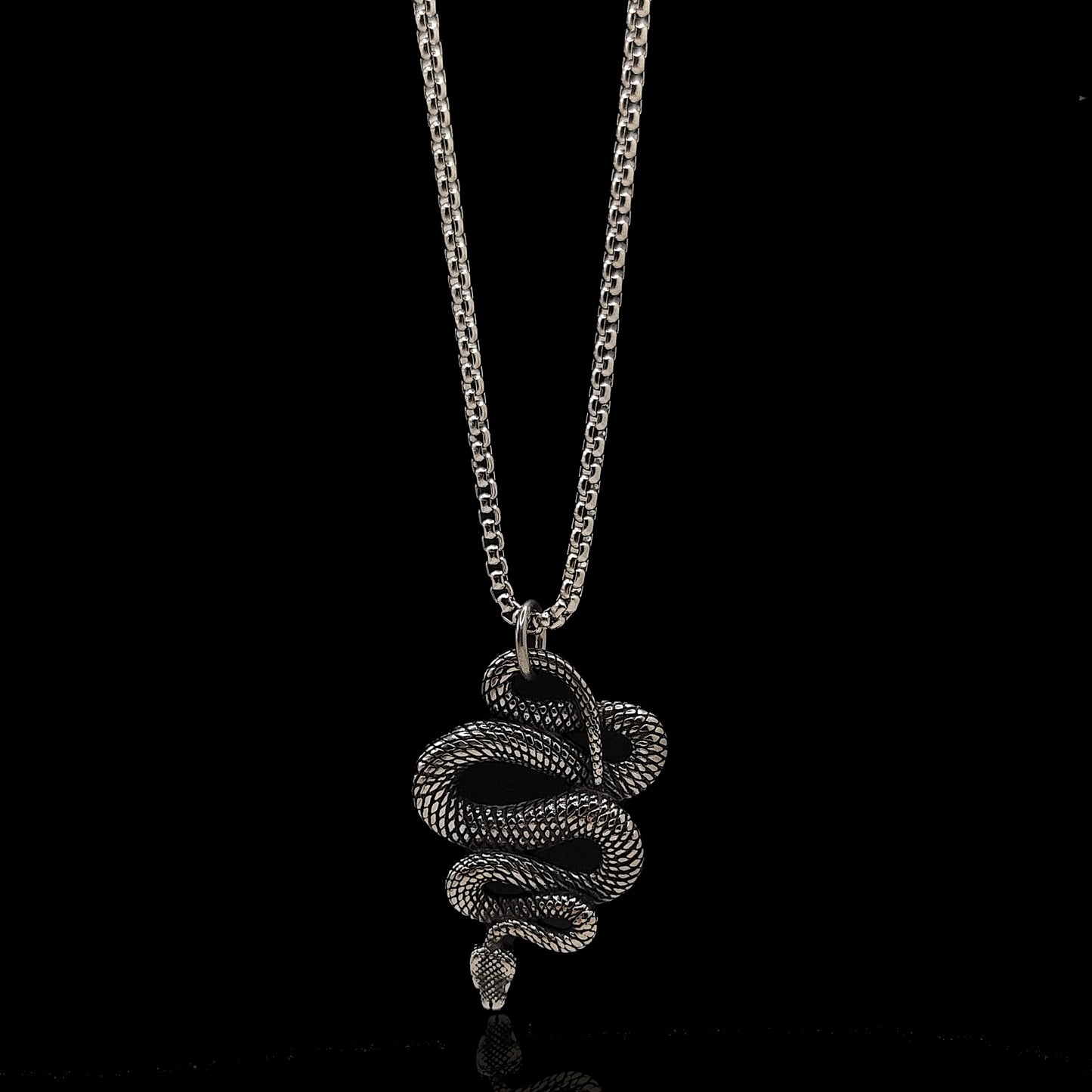 Silver Serpent & Rolo Chain 3mm-22inch